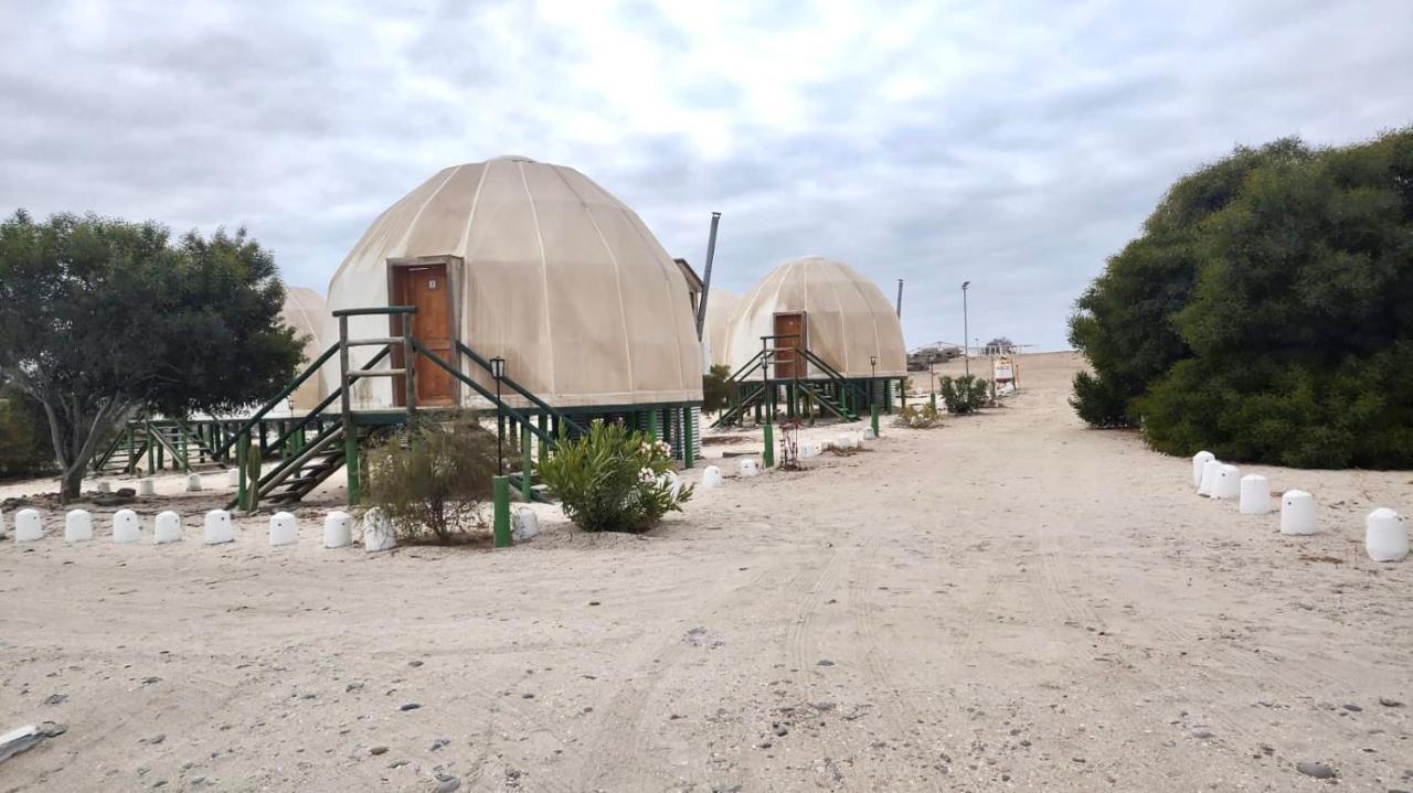 Camping Las Machas Hotel Bahia Inglesa Exterior photo
